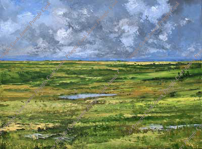 James Pringle Cook oil painting of Skyline Road with Angus cattle in Flint Hills of Kansas